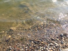 iphone_upload_pic-永定河休闲森林公园