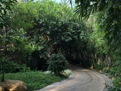 -河源客天下-温泉小镇