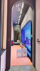 点击看大图 -超级奈尔宝SUPER NEOBIO(杭州星光店)