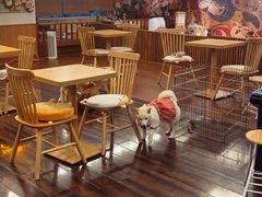 -豆柴町-柴犬主题狗咖(红鼎国际C座店)