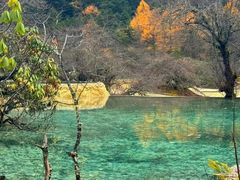 -黄龙山原始森林景区