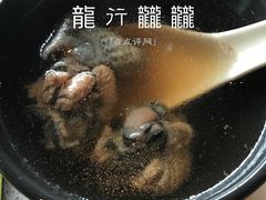 红菌乌鸡汤-半山腰·云南菜(侨福芳草地店)