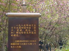 景点-西安青龙寺遗址景区