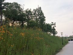 -上海国际音乐村