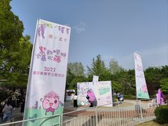 -嘉定紫藤园