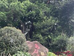 -乌山风景区