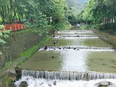 -广州白江湖森林公园
