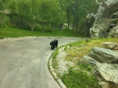 -北京野生动物园