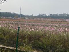 -嘉北郊野公园