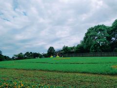-保利石象湖景区
