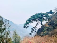 -泰山风景名胜区