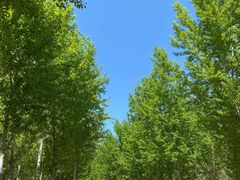 -东郊湿地公园