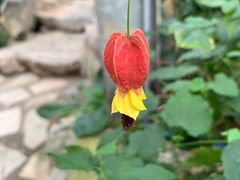 -华南国家植物园-售票处