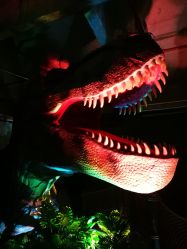 -恐龙探索乐园(磁器口店)