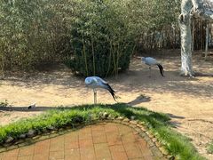 -西霞口神雕山野生动物世界