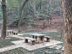 -上海佘山国家森林公园天马山园