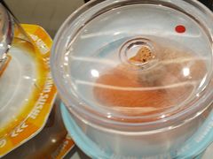 -元气寿司(金光华店)