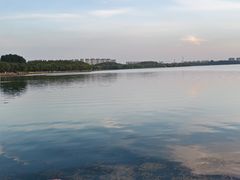 -丁香湖公园
