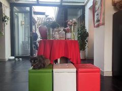 -EATALIA意塔利意式餐厅(鼓楼店)