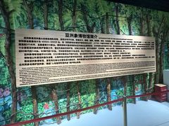 -野象谷景区