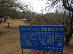 -广州市流溪河国家森林公园
