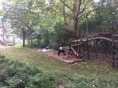 -熊猫屋(宽窄巷子景区店)