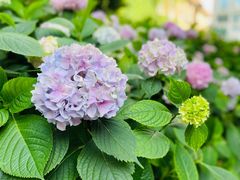 -常州古运河南大街文化旅游区-人民公园