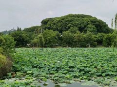 -石湖景区