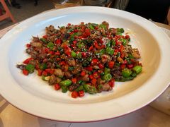 老成都辣子鸡-将军府·鸡毛店(武侯祠店)