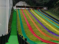 -梦幻奥陶纪景区