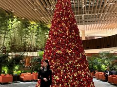 -北京望京凯悦酒店The Lounge大堂酒廊