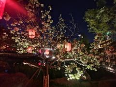 -铁像寺水街