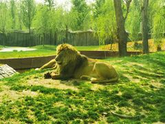 -北京野生动物园