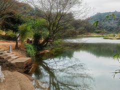 -南国桃园旅游度假区