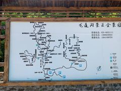 -龙道沟景区