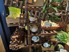 -大头椰·椰子鸡火锅(南宁万象城店)