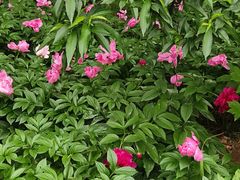 -洛阳市隋唐城遗址植物园