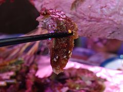 -沪上名羊天下•烤羊腿•东北烧烤•小龙虾(浦东直营总店)