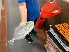 -寻味顺德·南记酒家·传统顺德菜·鱼生(广源路店)