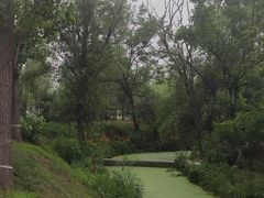 -东郊湿地公园