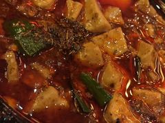 -陈麻婆豆腐总店