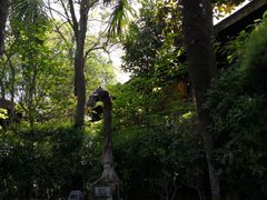 -西安国际创新人才交流中心•药浴温泉