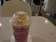 -飞行喵MR PILOT|猫舍·猫咖(静安大融城店)