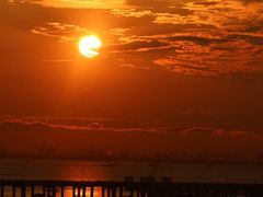 -宝安西湾红树林湿地公园