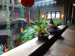 -普洱茶府(博乐广场店)