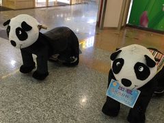 -黑鸡小馆(金源店)