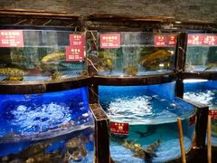 水产区-牛头鱼庄·地道广西菜(鲁班店)