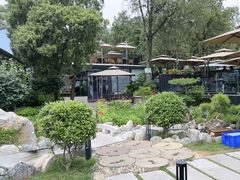 -蘇河湾·新鲁菜·泰山宴(泰山店)
