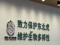 -横道河子东北虎林园