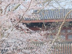 -堤角公园